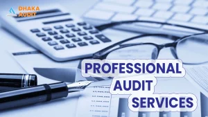 Master the Future of Finance with Professional Audit Services